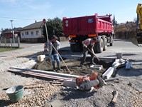 Débroussaillage - Schmitt Marc